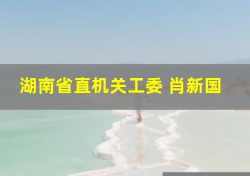 湖南省直机关工委 肖新国